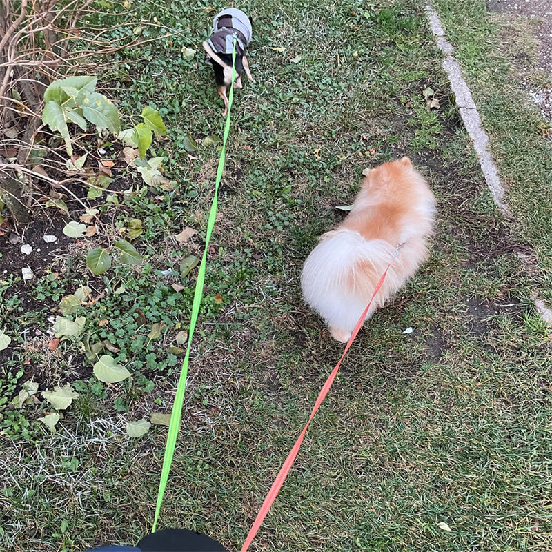Retractable duel Dog Leash