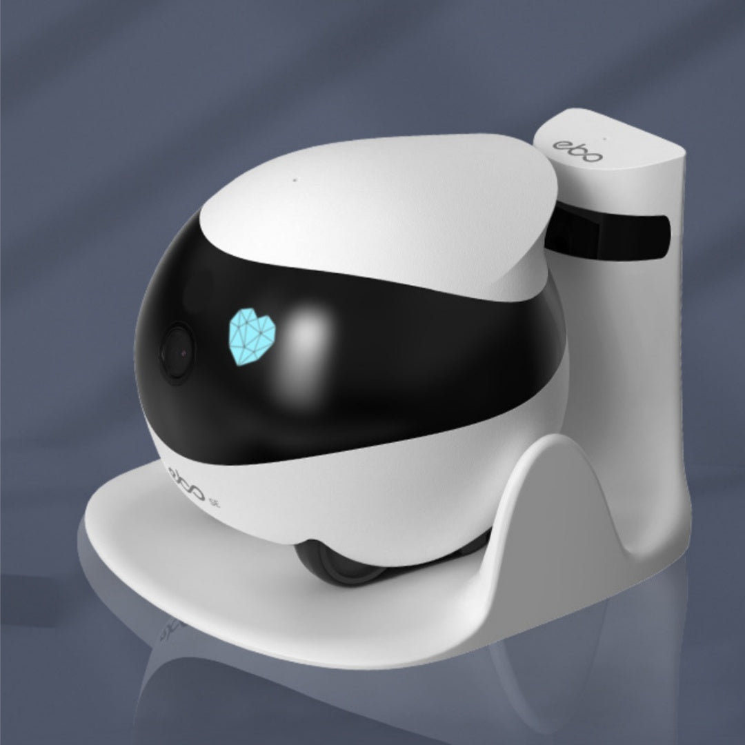 Ebo camera robot