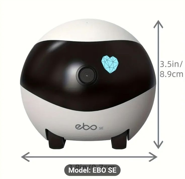 Ebo camera robot