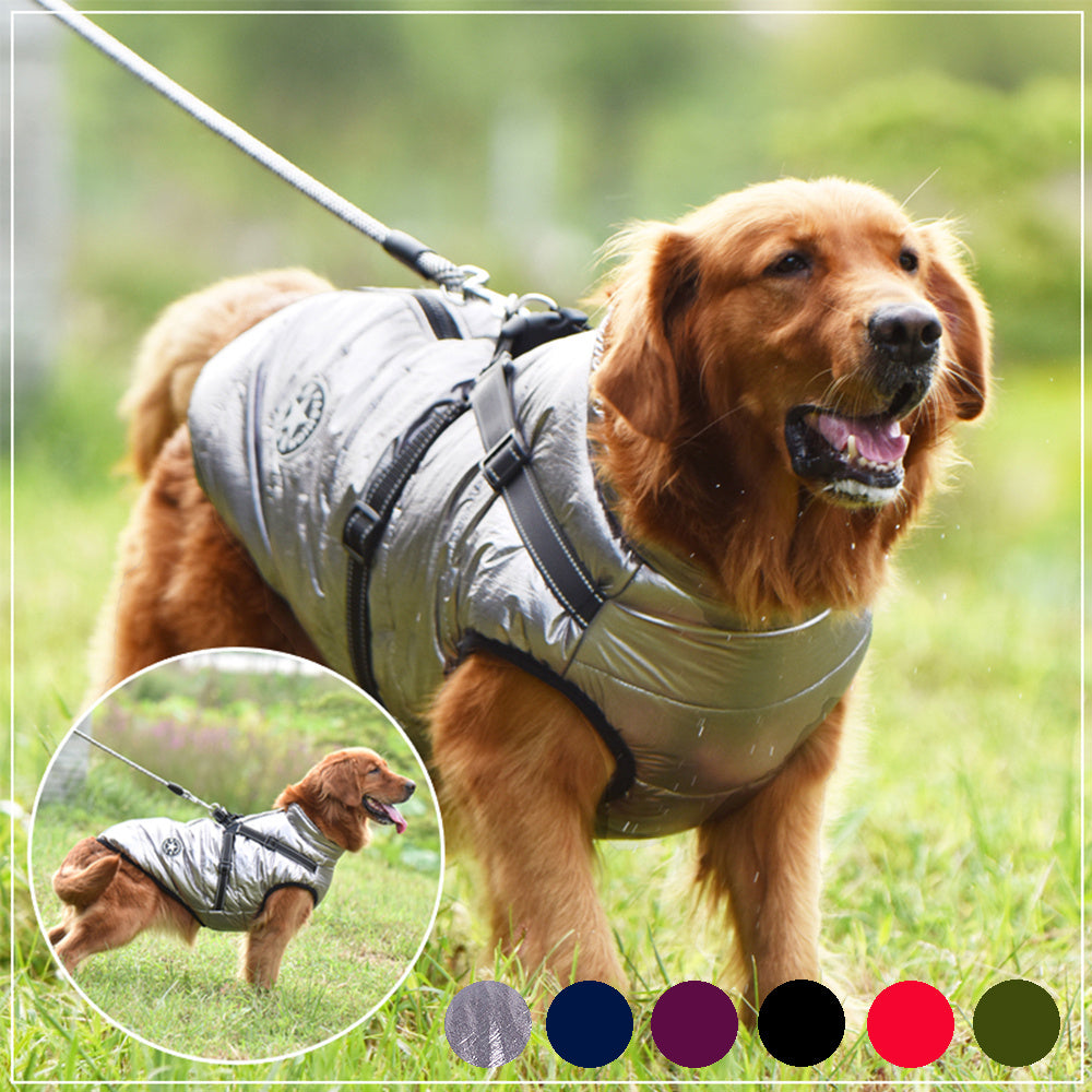 Pet Items