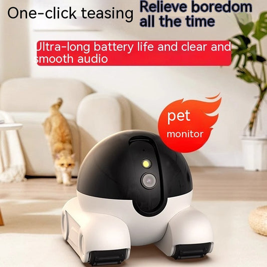 blinky Camera robot