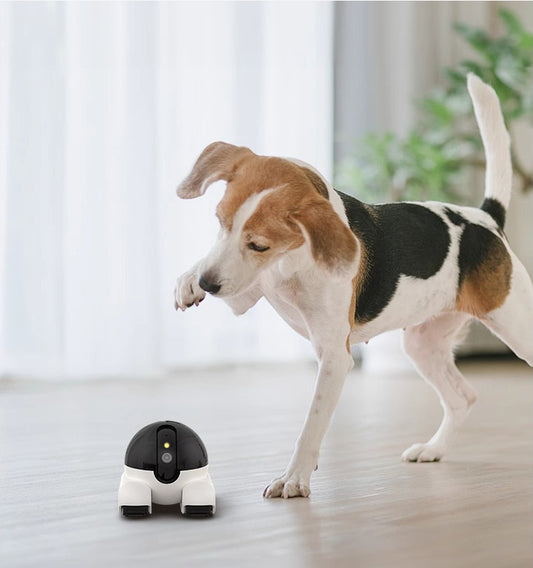 blinky Camera robot