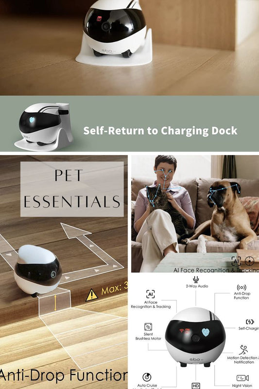 Ebo camera robot