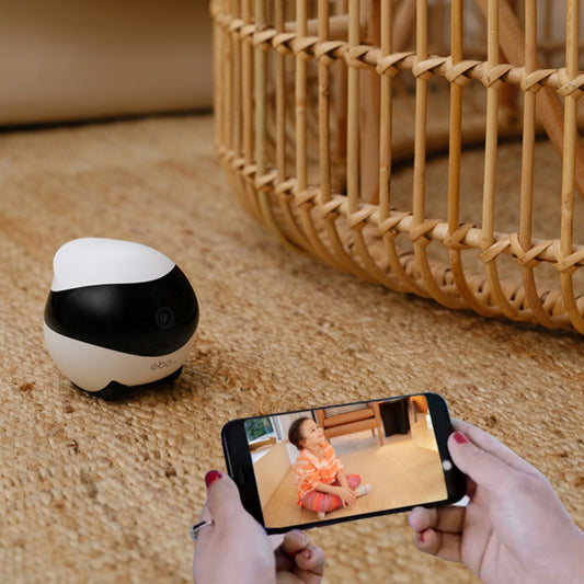 Ebo camera robot